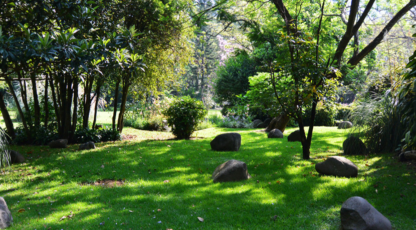 Bienes_raices_de_lujo_en_el_bosque_con_alberca_casa_de_campo_Tepoztlan_Morelos_Mexico_Residencia_campestre_1