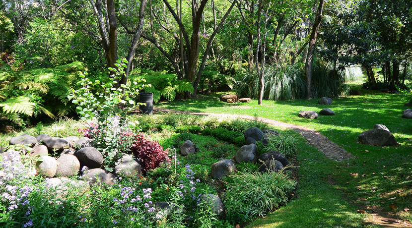 Bienes_raices_de_lujo_en_el_bosque_con_alberca_casa_de_campo_Tepoztlan_Morelos_Mexico_Residencia_campestre_29