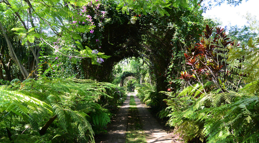 Bienes_raices_de_lujo_en_el_bosque_con_alberca_casa_de_campo_Tepoztlan_Morelos_Mexico_Residencia_campestre_30