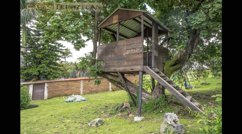 casa_para_comprar_tepoztlan_zona_tranquila_tres_habitaciones_dos_baños_alberca_gran_jardin_casa_arbol