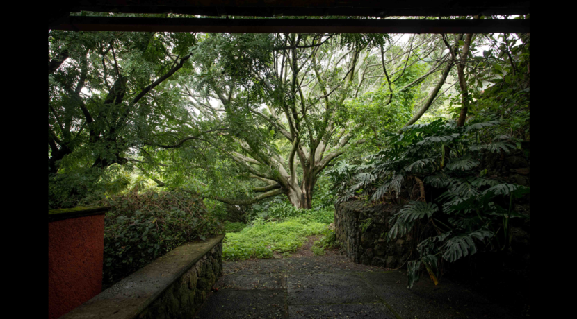 bienes_raíces_dos_pisos_varias_recámaras_jacuzzi_dos_terrazas_bodega_dos_cuartos_de_servicio_arbol