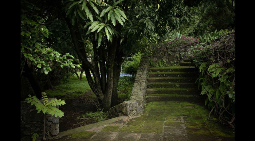 bienes_raíces_dos_pisos_varias_recámaras_jacuzzi_dos_terrazas_bodega_dos_cuartos_de_servicio_gradas