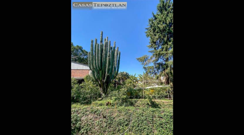 amplia_propiedad_rustica_de_adobe_y_madera_calle_tranquila_jardin_amplio_chimenea_alberca_climatizada_bodega_verde