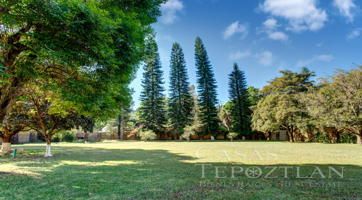 Hermosa_casa_de_adobe_vistas_impresionantes_extenso_jardin_arboles_maduros_techos_altos_una_planta_arboles