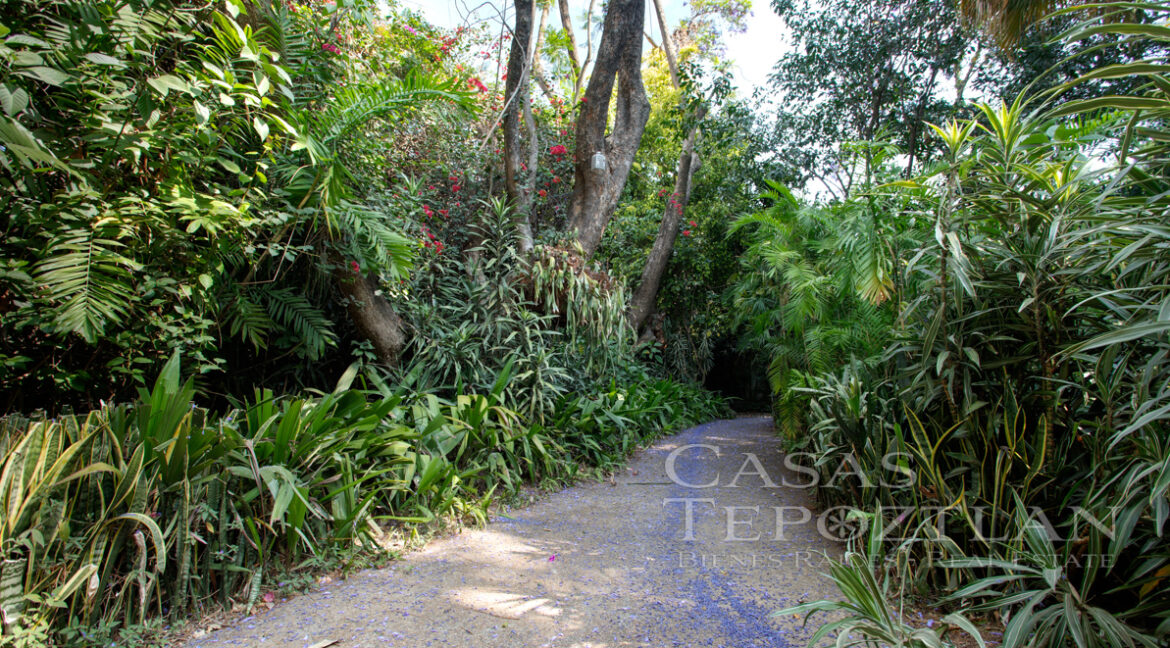 Casa_en_el_corazon_del_valle_de_atongo_para_remodelacion_jardin_selvatico_camino