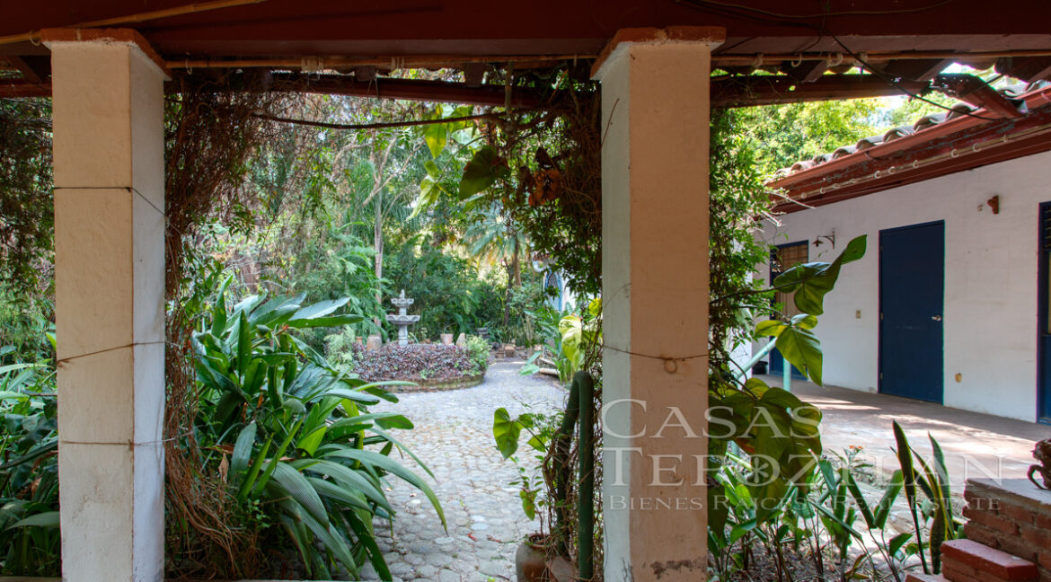 Casa_en_el_corazon_del_valle_de_atongo_para_remodelacion_jardin_selvatico_columnas