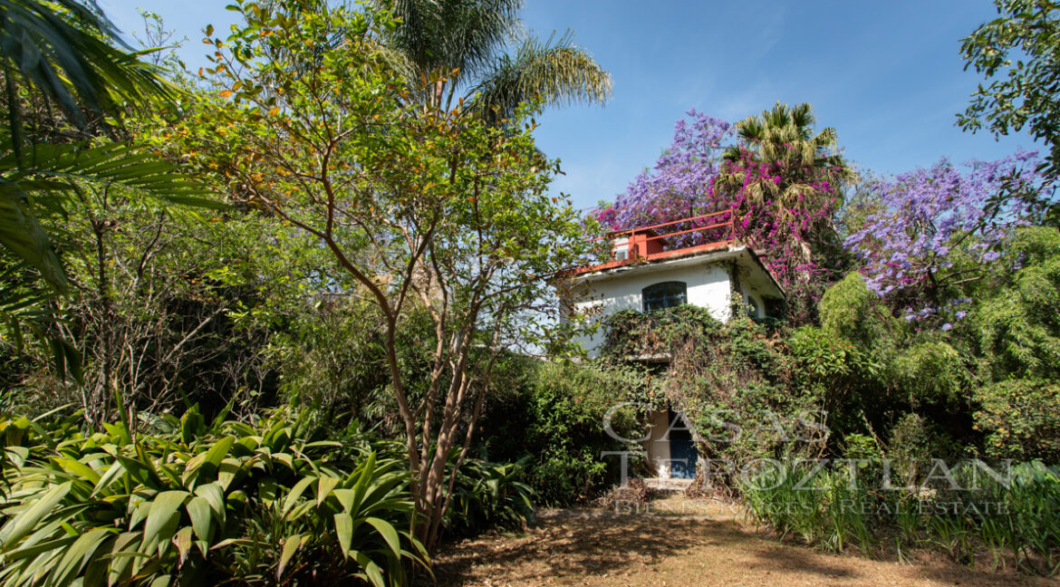 Casa_en_el_corazon_del_valle_de_atongo_para_remodelacion_jardin_selvatico_jardin