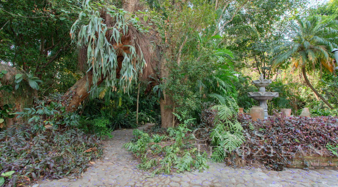 Casa_en_el_corazon_del_valle_de_atongo_para_remodelacion_jardin_selvatico_plantas