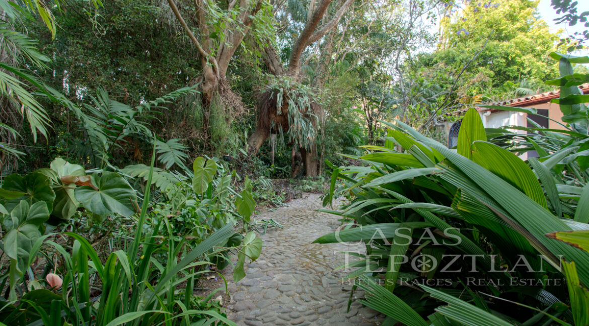 Casa_en_el_corazon_del_valle_de_atongo_para_remodelacion_jardin_selvatico_verde