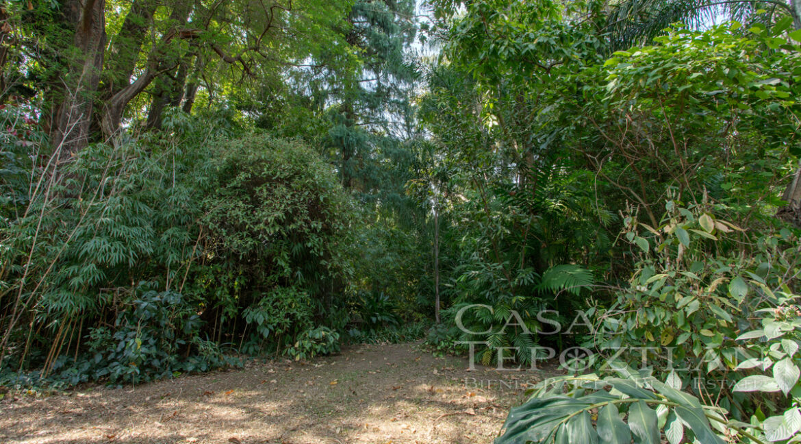 Casa_en_el_corazon_del_valle_de_atongo_para_remodelacion_jardin_selvatico_verdes